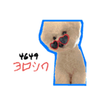 mybabyx4（個別スタンプ：24）