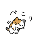 音楽室のねこ（丁寧語、たまにうざい）（個別スタンプ：25）