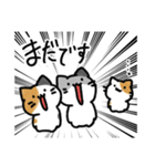 音楽室のねこ（丁寧語、たまにうざい）（個別スタンプ：37）