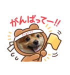 U^ェ^UワンワンU^ェ^U（個別スタンプ：6）