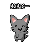 ねここねこ その1 黒（日常会話用）（個別スタンプ：1）