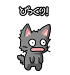 ねここねこ その1 黒（日常会話用）（個別スタンプ：15）