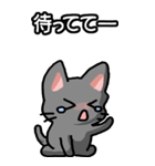 ねここねこ その1 黒（日常会話用）（個別スタンプ：20）