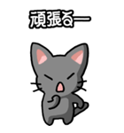 ねここねこ その1 黒（日常会話用）（個別スタンプ：22）