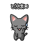 ねここねこ その1 黒（日常会話用）（個別スタンプ：23）