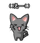 ねここねこ その1 黒（日常会話用）（個別スタンプ：35）