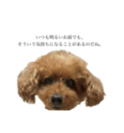 る！2（個別スタンプ：8）