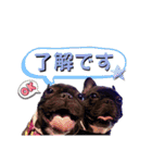 フレブル風丸君と風夏ちゃんもりだくさん♡（個別スタンプ：27）
