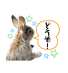 JOYちゃん♡2（個別スタンプ：1）
