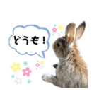 JOYちゃん♡2（個別スタンプ：2）