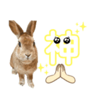 JOYちゃん♡2（個別スタンプ：5）