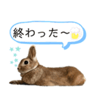 JOYちゃん♡2（個別スタンプ：7）