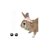 JOYちゃん♡2（個別スタンプ：11）