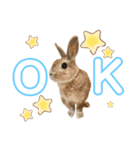 JOYちゃん♡2（個別スタンプ：14）