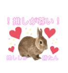 JOYちゃん♡2（個別スタンプ：15）