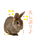JOYちゃん♡2（個別スタンプ：16）