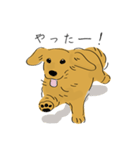 日常で使えるダックスさん2（個別スタンプ：5）