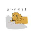 日常で使えるダックスさん2（個別スタンプ：11）