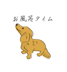 日常で使えるダックスさん2（個別スタンプ：13）