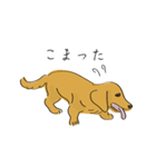 日常で使えるダックスさん2（個別スタンプ：16）