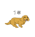 日常で使えるダックスさん2（個別スタンプ：18）