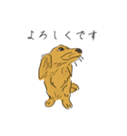 日常で使えるダックスさん2（個別スタンプ：20）