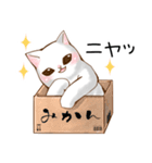 シンプル♡日常会話♡癒し猫（個別スタンプ：3）