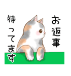 シンプル♡日常会話♡癒し猫（個別スタンプ：31）