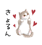 シンプル♡日常会話♡癒し猫（個別スタンプ：40）