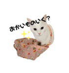 うにもこスタンプ！（個別スタンプ：4）