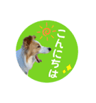 ボーダーコリー『ルカ』（個別スタンプ：2）