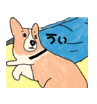 コーギーと飼い主。（個別スタンプ：27）