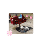 もこもこくんno.1（個別スタンプ：4）