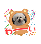 もこもこくんno.1（個別スタンプ：9）