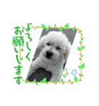 もこもこくんno.1（個別スタンプ：11）