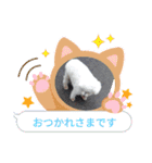 もこもこくんno.1（個別スタンプ：13）