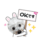 もこもこくんno.1（個別スタンプ：15）