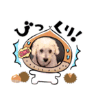 もこもこくんno.1（個別スタンプ：21）