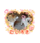 もこもこくんno.1（個別スタンプ：23）