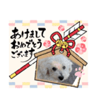 もこもこくんno.1（個別スタンプ：24）