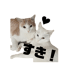 うにもこスタンプ（個別スタンプ：5）