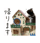 むげいせ（個別スタンプ：11）