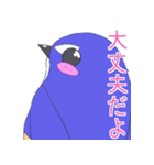 まんまるルリビタキ（個別スタンプ：20）