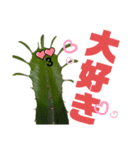 サボテンズ‼︎2（個別スタンプ：1）