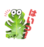 サボテンズ‼︎2（個別スタンプ：6）