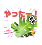 サボテンズ‼︎2（個別スタンプ：8）