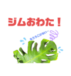 サボテンズ‼︎2（個別スタンプ：20）