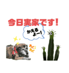 サボテンズ‼︎2（個別スタンプ：21）