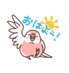 アキクサインコLINEスタンプ（個別スタンプ：1）