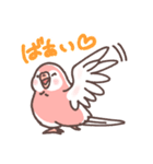 アキクサインコLINEスタンプ（個別スタンプ：2）